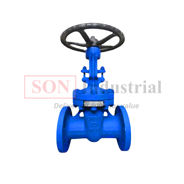 Van cổng thép nối bích DN80 PN25 SGA25