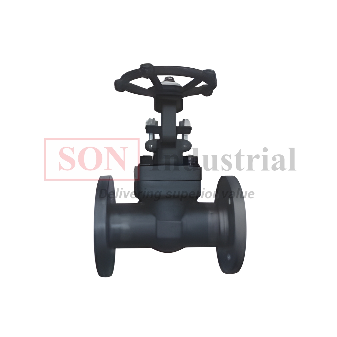 Van cổng thép đen nối bích SON