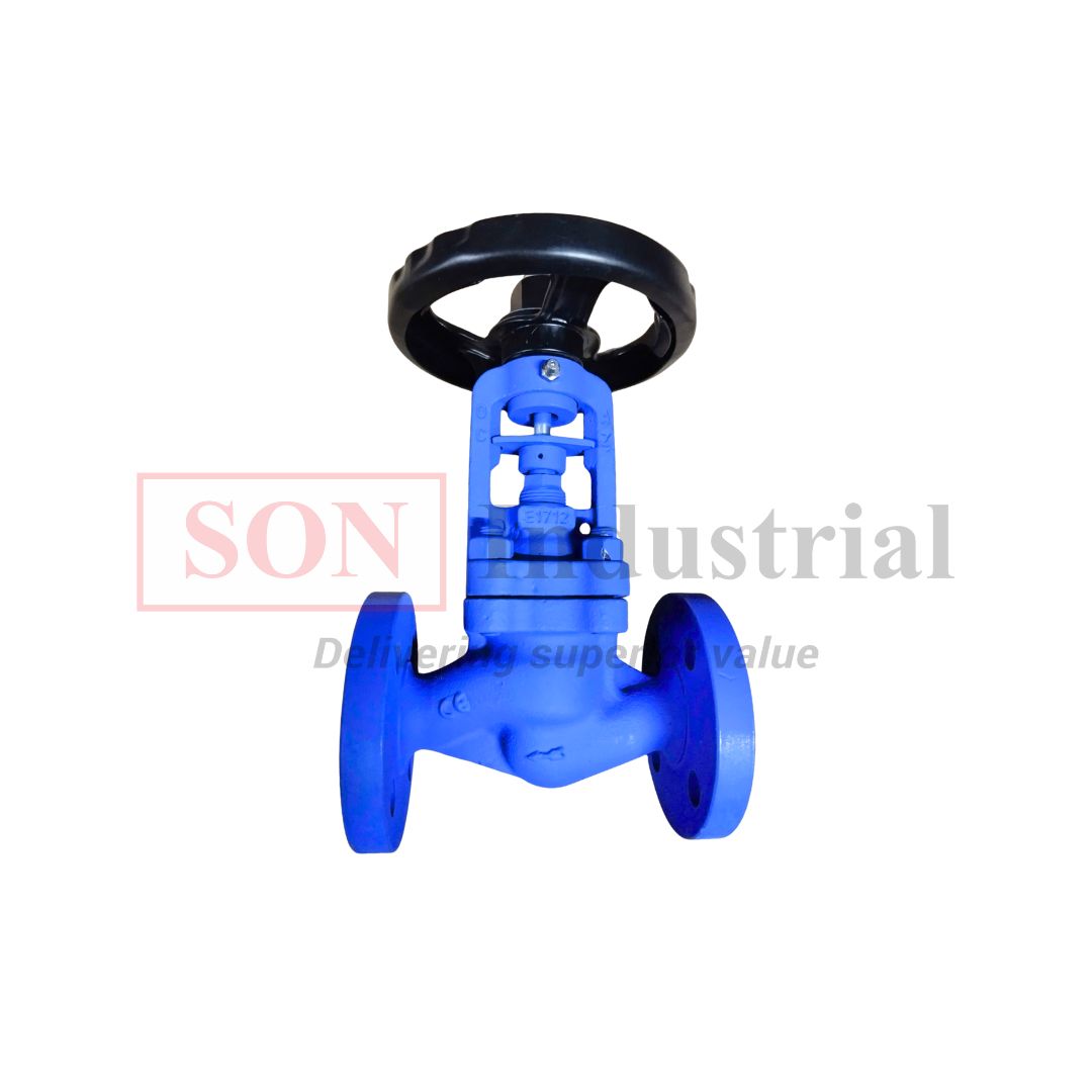 Van cầu nối bích SON DN20 PN16 SBV16